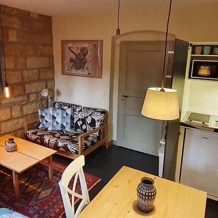 Villa Haniel Apartment Leo Dresda Esterno foto