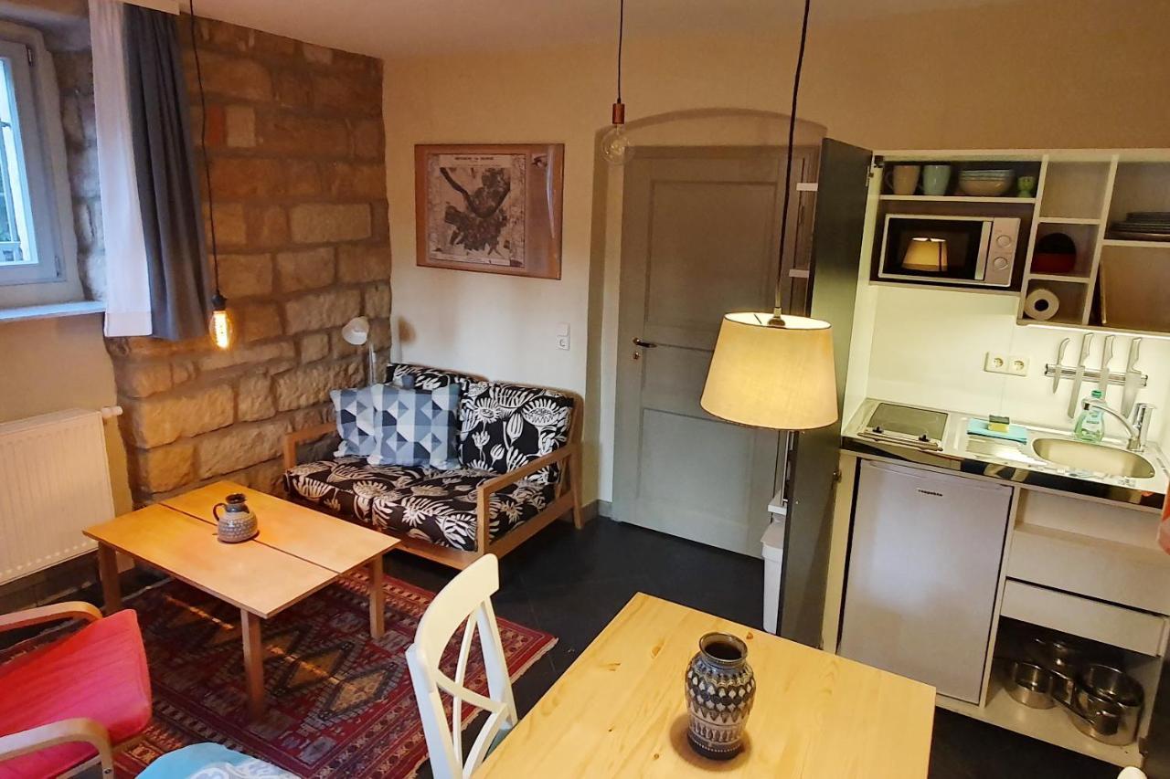 Villa Haniel Apartment Leo Dresda Esterno foto