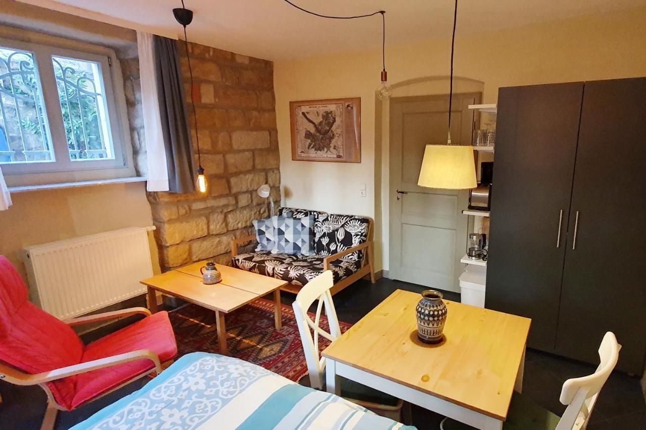 Villa Haniel Apartment Leo Dresda Esterno foto